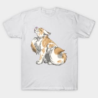 Cream Bicolor Tabby Longhair T-Shirt